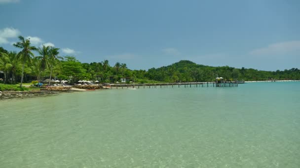 Tropischer Strand Mit Palmen Und Blauen Meereswellen — Stockvideo