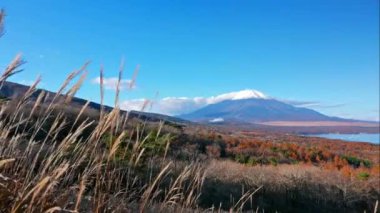 Japonya 'daki Fuji Dağı ile renkli sonbahar manzarası