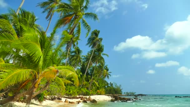Pintoresca Marina Con Playa Tropical Vacaciones Viajes — Vídeo de stock