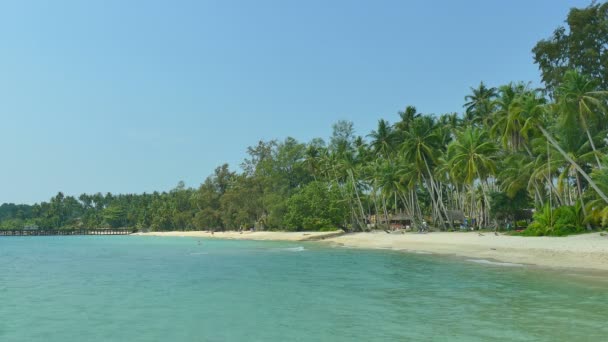 热带海滩与棕榈树和蓝色海浪 — 图库视频影像