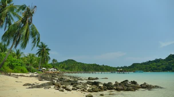 Malerischer Yachthafen Mit Tropischem Strand Urlaub Und Reisen — Stockvideo