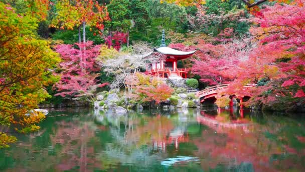 Daigo Tempel Med Färgglada Lönnträd Hösten Kyoto Japan — Stockvideo