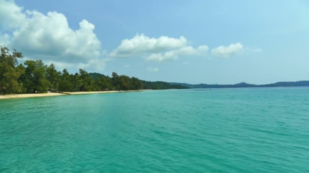 Palmiye Ağaçları Mavi Okyanus Dalgaları Ile Tropikal Plaj — Stok video