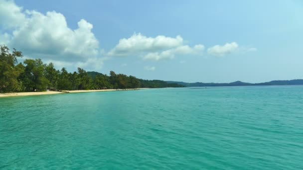 plage tropicale avec palmiers et vagues bleu océan 
