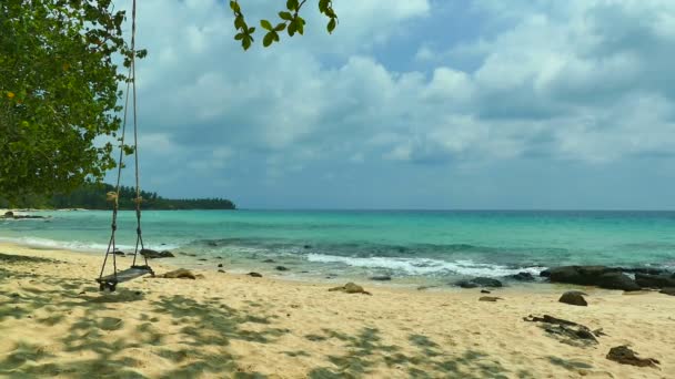 Tropischer Strand Mit Palmen Und Blauen Meereswellen — Stockvideo