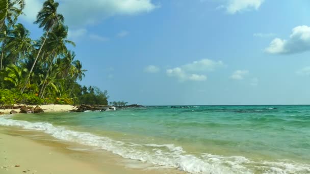 Tropikalnej Plaży Palmami Fale Niebieski Ocean — Wideo stockowe