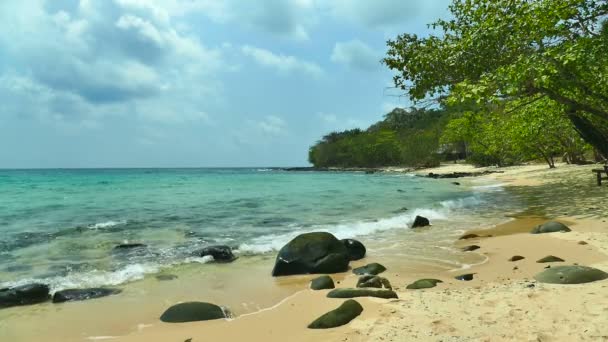 Tropischer Strand Mit Palmen Und Blauen Meereswellen — Stockvideo