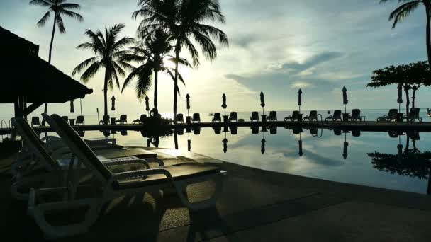 Vue Sur Piscine Parasols Végétation Tropicale Luxuriante — Video