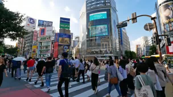 Tóquio Japão Julho 2018 Pessoas Caminhando Pela Travessia Shibuya — Vídeo de Stock