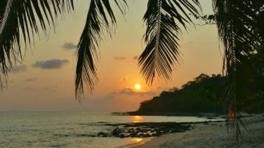 dalgalar deniz, palmiye ağaçları ve dramatik gökyüzü günbatımı görünümünü