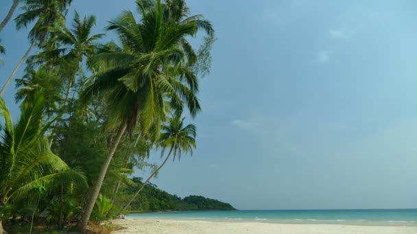 Malerischer Yachthafen Mit Tropischem Strand Urlaub Und Reisen — Stockvideo