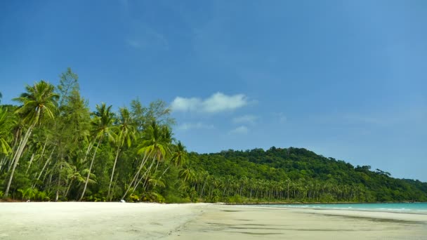 Pittoreske Jachthaven Met Tropisch Strand Vakantie Reizen — Stockvideo