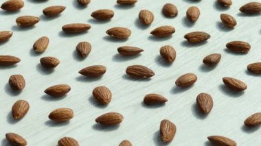 desen badem beyaz arka planda, video 