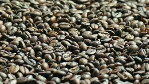コーヒー豆の焙煎 ビデオ — ストック動画