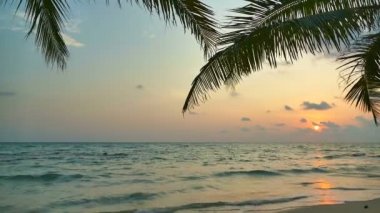 dalgalar deniz, palmiye ağaçları ve dramatik gökyüzü günbatımı görünümünü