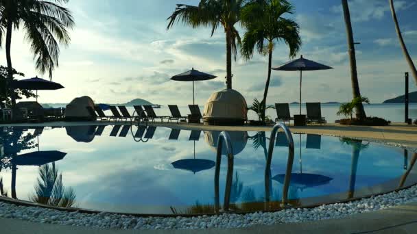 Vue Sur Piscine Parasols Végétation Tropicale Luxuriante — Video