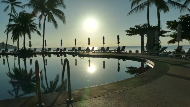 Utsikt Över Poolen Strandparasoller Palmer Och Blå Himmel — Stockvideo