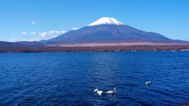 Färgglada Höst Landskap Med Fuji Berg Och Yamanakako Lake Japan — Stockvideo