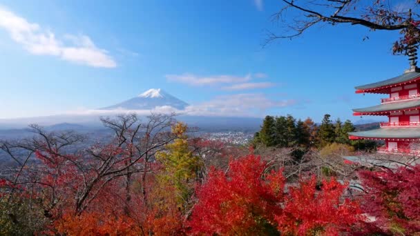 Colorido Paisaje Otoñal Con Montaña Fuji Pagoda Chureito Japón — Vídeo de stock