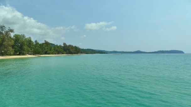 Tropikalnej Plaży Palmami Fale Niebieski Ocean — Wideo stockowe