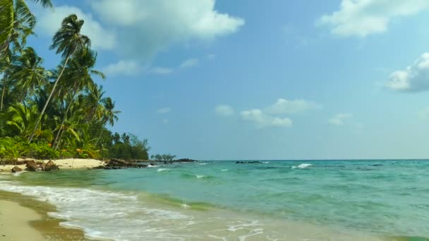 Tropikalnej Plaży Palmami Fale Niebieski Ocean — Wideo stockowe