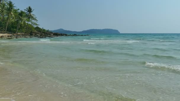 Tropikalnej Plaży Palmami Fale Niebieski Ocean — Wideo stockowe