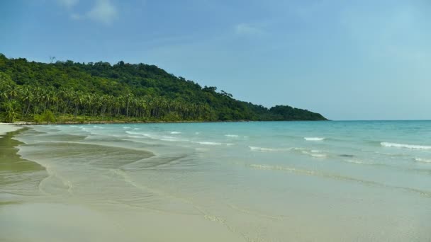 Tropisch Strand Met Palmbomen Blauwe Oceaan Golven — Stockvideo