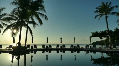 Yüzme havuzu manzarası, plaj şemsiyeleri, palmiye ağaçları ve mavi gökyüzü.