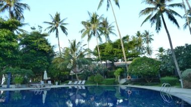 Yüzme havuzu manzarası, plaj şemsiyeleri, palmiye ağaçları ve mavi gökyüzü.