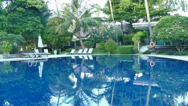 vue sur piscine, parasols et végétation tropicale luxuriante  