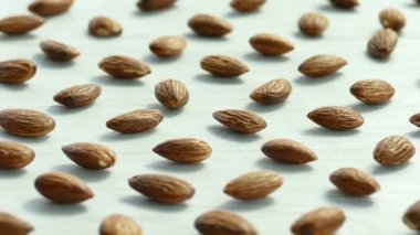 desen badem beyaz arka planda, video 