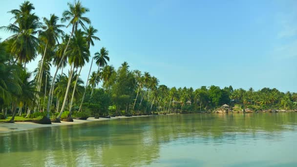 Playa Tropical Con Palmeras Olas Azules Del Océano — Vídeos de Stock