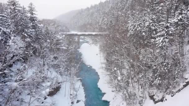 松林と凍る川の素晴らしい冬の風景 — ストック動画