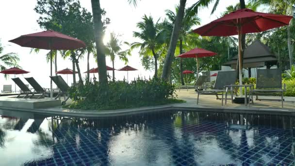 vue sur piscine, parasols et végétation tropicale luxuriante  