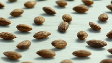 desen badem beyaz arka planda, video 