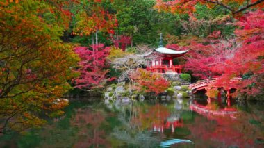 Japonya 'nın Kyoto şehrinde sonbaharda renkli akçaağaç ağaçları olan Daigo-ji tapınağı.