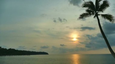 dalgalar deniz, palmiye ağaçları ve dramatik gökyüzü günbatımı görünümünü