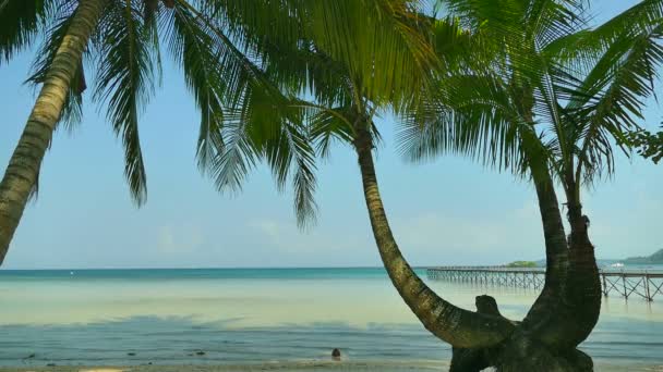 风景如画的码头与热带海滩 度假和旅行 — 图库视频影像