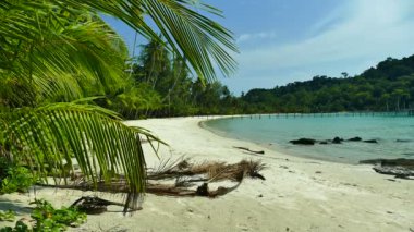 Tropikal plaj ile pitoresk marina. Tatil ve seyahat