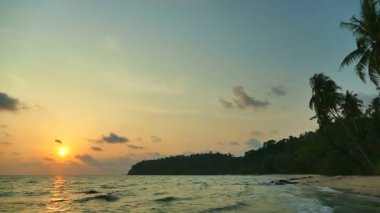 dalgalar deniz, palmiye ağaçları ve dramatik gökyüzü günbatımı görünümünü