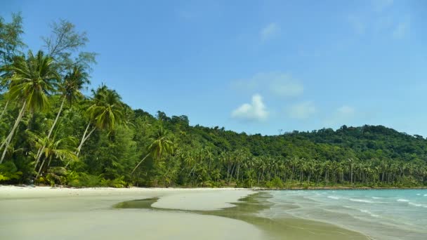 Malerischer Yachthafen Mit Tropischem Strand Urlaub Und Reisen — Stockvideo