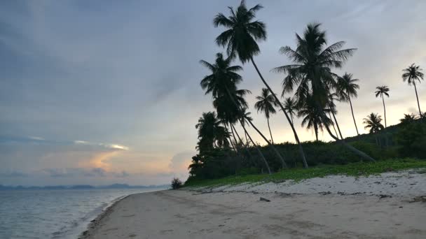 Закат Вид Морские Волны Пальмы Впечатляющее Небо — стоковое видео