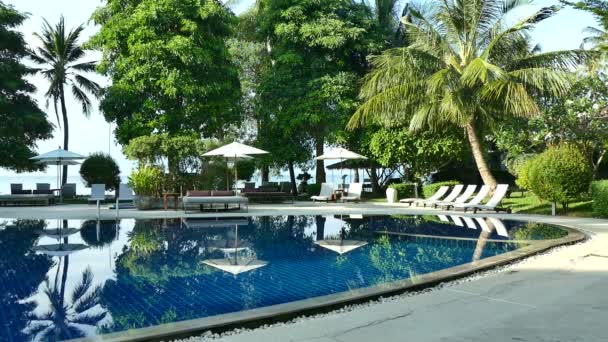 vue sur piscine, parasols et végétation tropicale luxuriante  