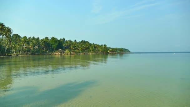 Playa Tropical Con Palmeras Olas Azules Del Océano — Vídeos de Stock