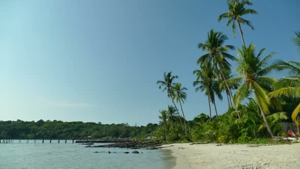 Tropikalnej Plaży Palmami Fale Niebieski Ocean — Wideo stockowe