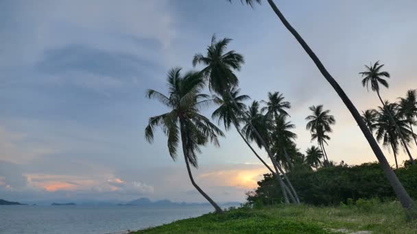 Vista Atardecer Olas Marinas Palmeras Cielo Dramático — Vídeos de Stock