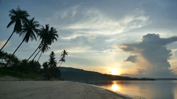 Vista Atardecer Olas Marinas Palmeras Cielo Dramático — Vídeos de Stock