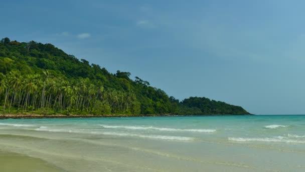 Playa Tropical Con Palmeras Olas Azules Del Océano — Vídeos de Stock