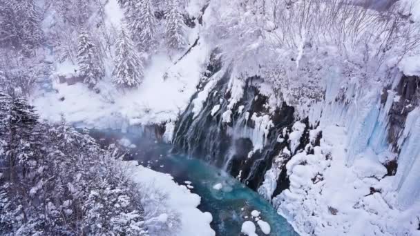 Erstaunliche Winterlandschaft Mit Kiefern Und Gefrorenem Fluss — Stockvideo