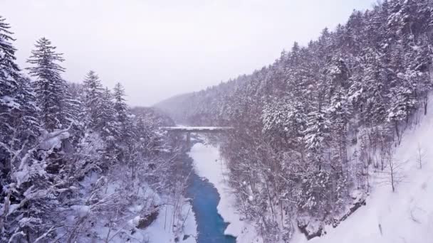 Úžasná Zimní Krajina Borovicemi Zamrzlé Řeky — Stock video